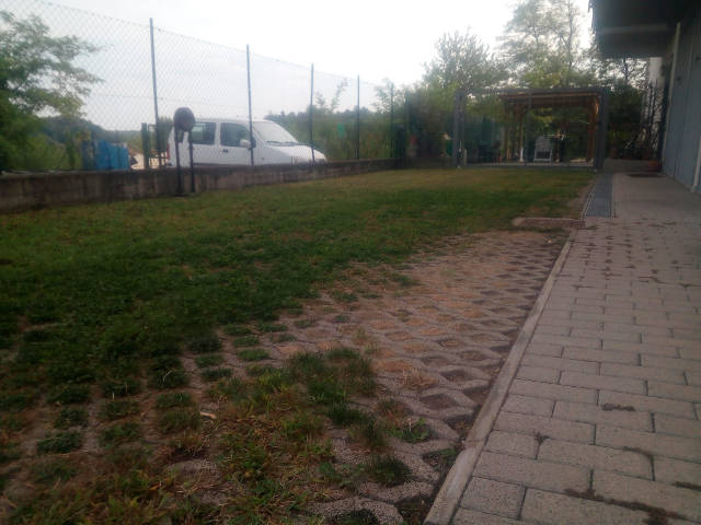 areeVerdi